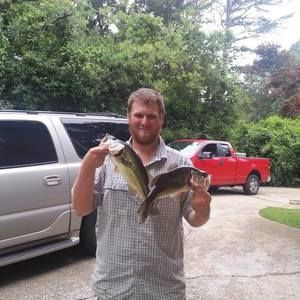 Meet your Posher, Philip